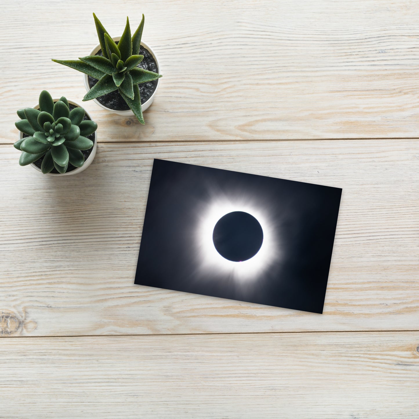 2024 Solar Eclipse Totality Postcard - Send Cosmic Greetings 🌞🌑